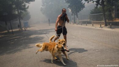 Photo of Voraces incendios siguen avanzando en varias localidades de Grecia