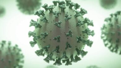 Photo of Los daños cerebrales por Coronavirus pueden ser equivalentes a diez año de envejecimiento