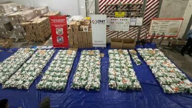 Photo of Incautan casi una tonelada de cocaína en un aeropuerto de Paraguay