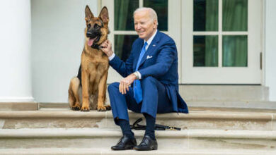 Photo of Gobernadora de Dakota del Sur propone matar al perro de Biden