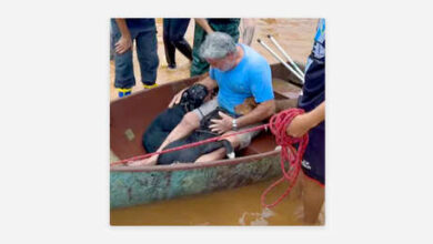 Photo of Un hombre rompe a llorar tras el rescate de sus perros en las inundaciones de Brasil (VIDEO)