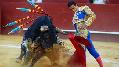 Photo of ¿Tortura animal o bien cultural? Se enciende el debate sobre la tauromaquia en España