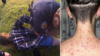 Photo of Una mujer denuncia que la Policía la puso cara abajo sobre hormigas rojas durante un arresto