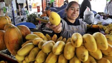 Photo of «Pensaba que me iba a desmayar»: una coreana se sorprende con el precio de la fruta en México