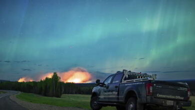 Photo of Incendios masivos en Canadá (VIDEOS)