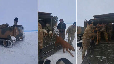 Photo of VIDEO: Conmovedor rescate de un peón y sus 13 perros tras un mes atrapados en la nieve