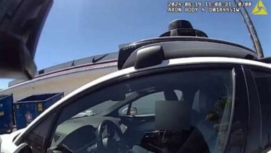 Photo of Policía detiene a un coche que «enloqueció» en la carretera y esto es lo que descubrió en su interior (VIDEO)