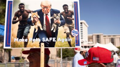 Photo of «Los inmigrantes haitianos se están comiendo a los gatos y a los perros», así surgió la desinformación resucitada por Trump