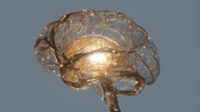Photo of Las computadoras del futuro estarán hechas de neuronas, hongos, fotones y partículas entrelazadas